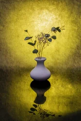 Reflet floral doré