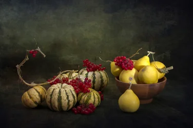 Courges et baies de récolte