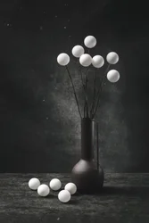 Nature morte sphérique moderne