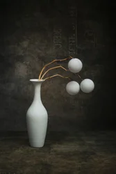 Nature morte blanche organique