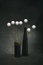 Sphères blanches et vases sombres