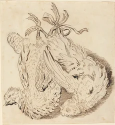 Deux poulets morts