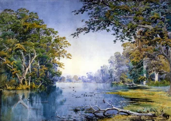Une rivière boisée