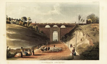Vue des conducteurs de bétail et de moutons vers le marché de Smithfield sous l