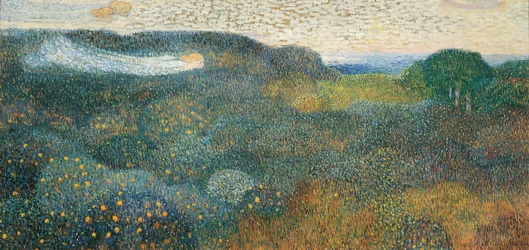Orangeraie sur la Côte d