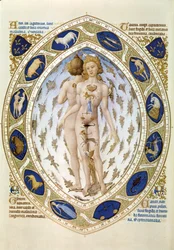 Le corps humain et l