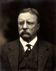 Theodore Roosevelt, c.1915