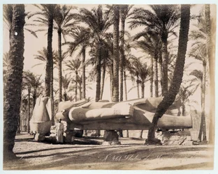 Une statue de Memphis repose dans une palmeraie en Égypte - photographie des frères Zangaki, fin XIXe siècle