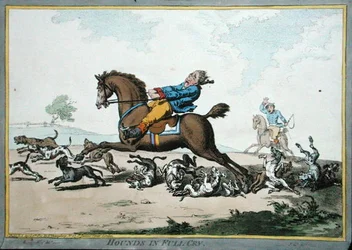 Chiens en pleine course
