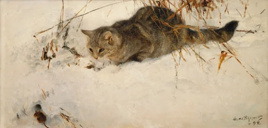 Un Chat Traquant une Souris dans la Neige