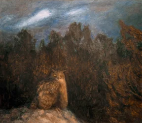 Le hibou dans la forêt