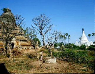 Pagodes près de la rivière Irrawaddy