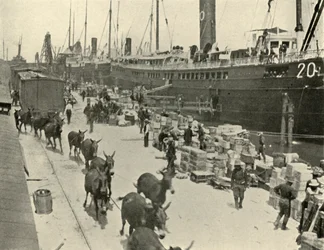 Navires de troupes à Port Tampa, Floride, États-Unis, Guerre hispano-américaine, 10 juin 1898, 1899