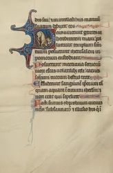 Initiale D : Un lion et des licornes