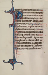 Initial P : David s