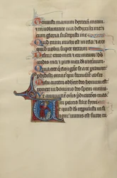 Initial U : Un roi