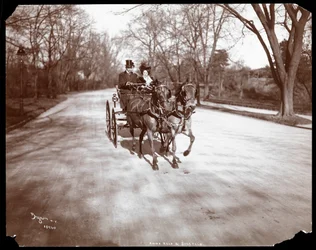 Anna Held et Florenz Ziegfeld conduisant une calèche, New York, 1904