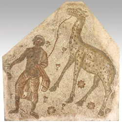 Fragment de mosaïque représentant un homme conduisant une girafe, 401-500 après J.-C. (pierre dans le mortier)