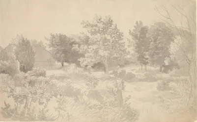 Un enclos avec des arbres