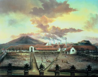 Plantation de sucre au sud de Trinidad, vers 1850 (huile sur toile)
