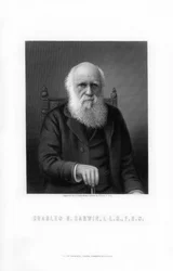 Charles Darwin, naturaliste britannique, 1899