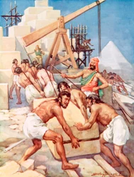 Où les rois d