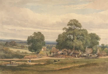 Emerey Down près de Lyndhurst, New Forest, Hants