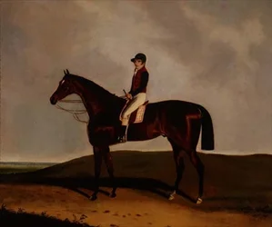 Un cheval de course bai