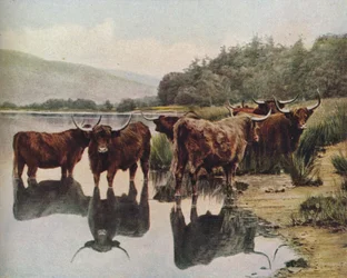 Écosse, vers 1930