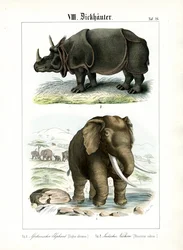 Éléphant d