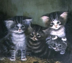 Quatre chatons