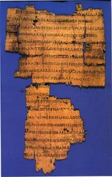 Callimachus, Coma Berenices, papyrus