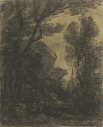 Vue de forêt au crépuscule