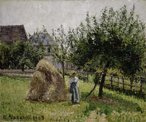 Pommiers à Éragny, matin ensoleillé, 1903