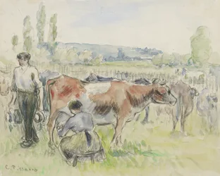 Étude de composition d