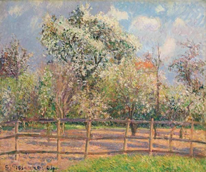 Poiriers en fleur, Eragny, 1894