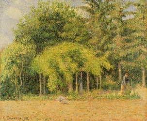 La tonnelle à Éragny, 1893