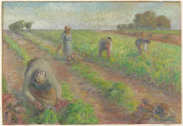 La Récolte des betteraves, 1881