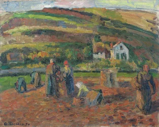 La Récolte de pommes de terre, Pontoise, 1874
