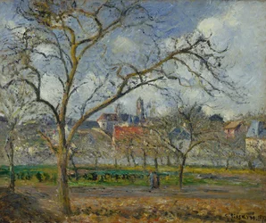 Un verger à Pontoise en hiver