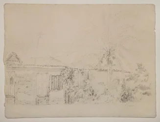 Maisons et Palmiers
