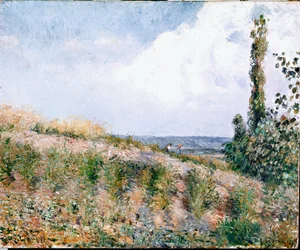 Paysage