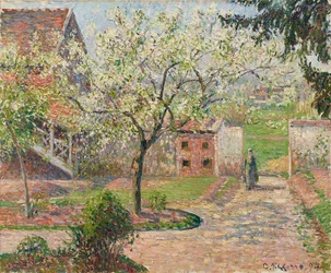 Pruniers en fleurs, Éragny. La maison du peintre