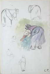 Feuille d
