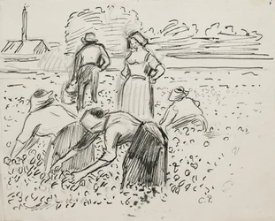 Étude de cinq paysans travaillant dans un champ, 1887