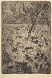 Le Champ de choux, vers 1880