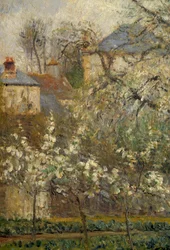 Jardin potager et arbres en fleurs au printemps à Pontoise
