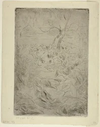 Femme dans le jardin potager