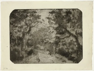 Chemin boisé à Pontoise