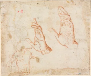 Étude de mains verso, vers 1590